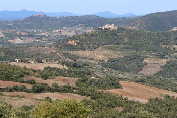 Val d'Orcia - die Gegend