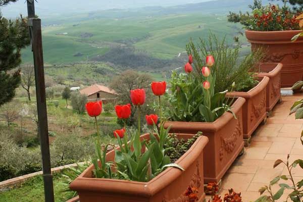 B &amp; B Borgheretto - Colli di Castiglione d'Orcia